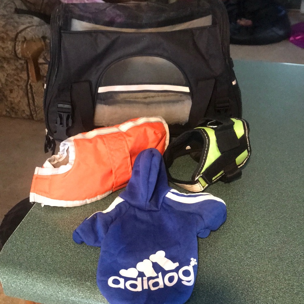 XS dog goodie lot